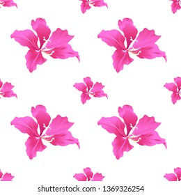 Pink Bauhinia Purpurea. Vector illustration. Floral botanical flower. Wild leaf wildflower isolated. Exotic tropical hawaiian jungle. Seamless background pattern. Fabric wallpaper print texture.