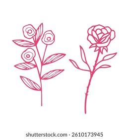 pink beautiful flower illustration set