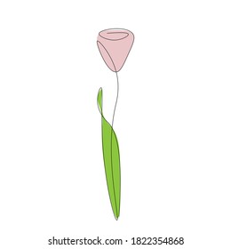Pink beautiful flower vector illustration