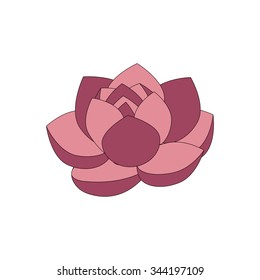 Pink beautiful lotus flower isolated on white background