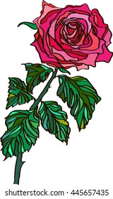 Pink beautiful rose realistic