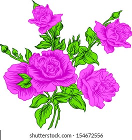 pink of beautiful roses.