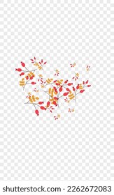 Pink Berries Background Transparent Vector. Leaf Forest Card. Burgundy Leaves Art. Wallpaper Set. Foliage September.