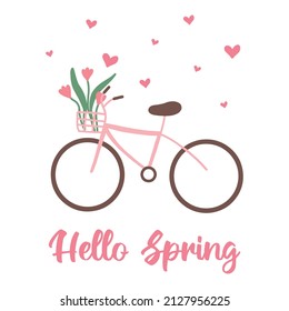 Pink Bicycle With Flowers In A Basket. Spring Pink Bike With Tulips. Spring Illustration. Spring Postcard. Vector Illustration In Hand Drawn Style.