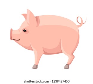 Pink big pig with curly tail. Farm domestic animal. Flat style animal design. Vector illustration isolated on white background.