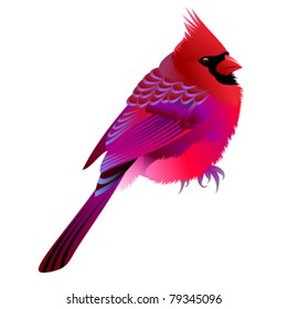 pink bird