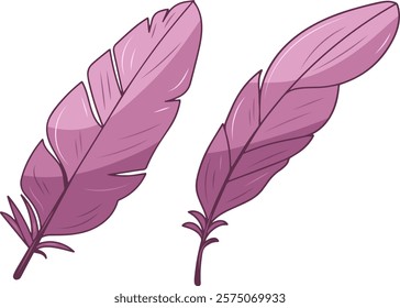 Pink bird feathers. Valentine's Day. Vector clipart, illustration with isolated background.