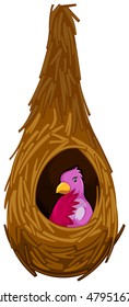 Pink bird in the nest illustration