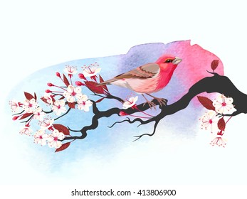 Pink bird on cherry branch