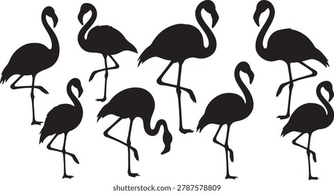 Pink bird set, editable vector silhouette nature characters.