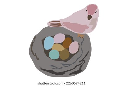 Pink bird sitting on top of her nest and watching easter egg isolated on white background