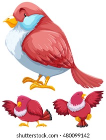 Pink bird in three actions illustration