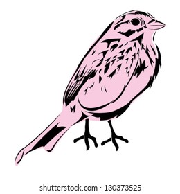 Pink bird vector illustration