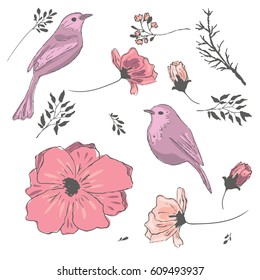 Pink birds, flowers, leaves on a white background. Spring. Birds and flowers. A collection of vector elements for design.