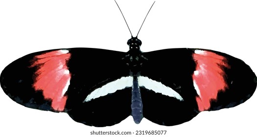 Pink and black butterfly vector with transparent background 