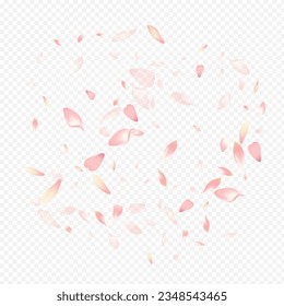 Pink Bloom Vector Transparent Background. Rosa Invitation Pattern. Blossom Fly Cover. Heart Realistic Backdrop. Bright Cherry Wallpaper Congratulation.