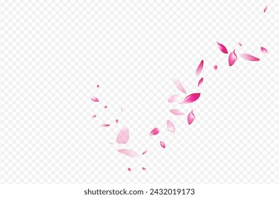 Pink Bloom Vector Transparent Background. Lotus 3d Poster. Tree Flutter Backdrop. Peach Isolated Template. Red Rose Japan Design.