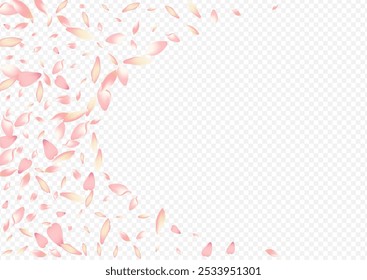 Fondo transparente del Vector de la floración rosada. Póster de Rosa Wind. Textura de mosca floreciente. Felicitaciones de Peach Springtime. Diseño de cielo rojo Sakura.