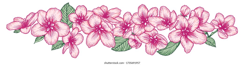 El borde de las flores rosadas de manzano floreciente. Ilustración del vector de contorno aislada sobre blanco. Dibujo a mano naturaleza romántico dibujo de primavera floral.