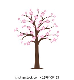 pink blooming cherry tree in spring on white background vector illustration EPS10
