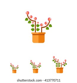Pink blooming flower