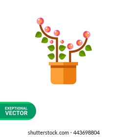 Pink blooming flower