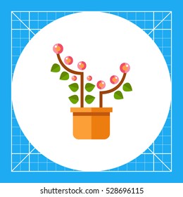 Pink blooming flower