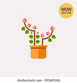 Pink blooming flower