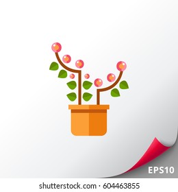 Pink blooming flower