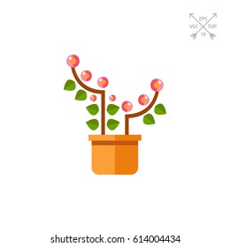 Pink blooming flower