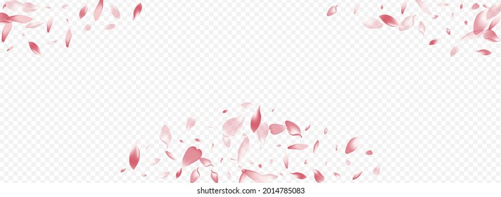 Pink Blooming Vector Panoramic Transparent Background. Confetti Wind Banner. Leaf March Congratulation. Lotus 3d Template. Light Floral Wallpaper Backdrop.