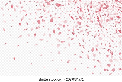 Pink Blooming Vector Transparent Background. Rose Falling Design. Heart Wind Congratulation. Floral Rain Card. Color Cherry Springtime Texture.