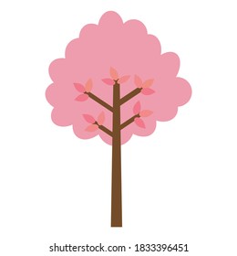 Pink blooms that cover the tree, beautiful cherry blossom, sakura on white background. (spring, summer, park)
