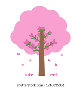Pink blooms that cover the tree, beautiful cherry blossom, sakura on white background. (flowers blooming in spring, summer, seasonal, park, outdoors)