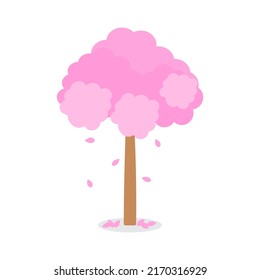 Pink blooms that cover the tree, beautiful cherry blossom, sakura on white background. Plants and trees produce oxygen for the earth and life. Nature creates fresh air for people and animals. 