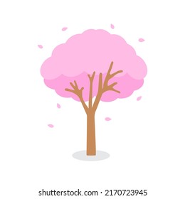Pink blooms that cover the tree, beautiful cherry blossom, sakura on white background. Plants and trees produce oxygen for the earth and life. Nature creates fresh air for people and animals. 