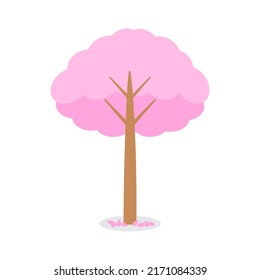 Pink blooms that cover the tree, beautiful cherry blossom, sakura on white background. Plants and trees produce oxygen for the earth and life. Nature creates fresh air for people and animals. 