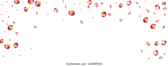 Vector De Borrosa Blossom Panorámico Fondo Blanco. Tapa de Sakura de oferta. Bonito Fondo de escritorio de Cherry Japan. Diseño de Volante Red Lotus.