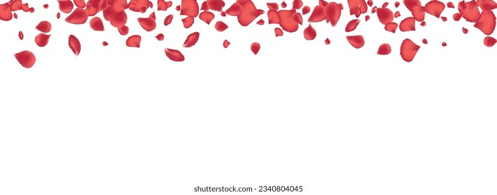 Pink Blossom Blur Vector Panoramic White Background. Fall Lotus Pattern. Red Petal Beauty Illustration. Delicate Peach Spring Design.