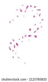 Pink Blossom Blur Vector White Background. Fly Sakura Illustration. Delicate Rose Summer Design. Red Petal Fall Texture.