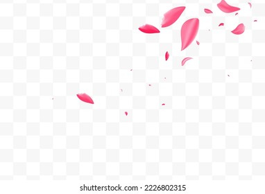 Pink Blossom Falling Vector Transparent Background. Flying Cherry Banner. Red Rose Tender Wallpaper. Beautiful Floral Fly Template.