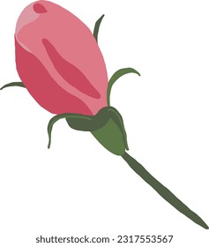 Pink Blossom Flower Bud. Sakura or Cherry Bloom Tree. Hand Drawing Beauty Plant. Cartoon Vector Illustration on White Background