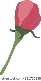 Pink Blossom Flower Bud. Sakura or Cherry Bloom Tree. Hand Drawing Beauty Plant. Cartoon Vector Illustration on White Background