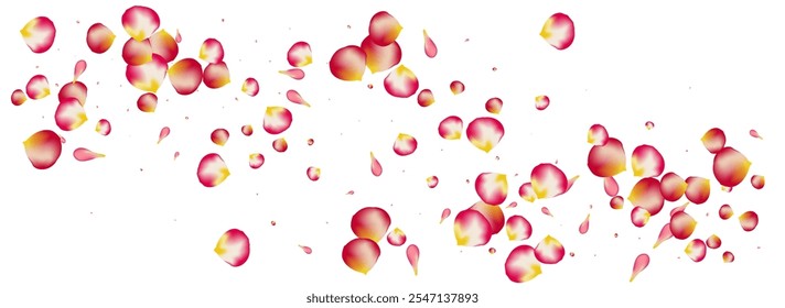 Pink Blossom Fly Vector Panoramic White Background. Flying Lotus Pattern. Delicate Petal Falling Cover. Beautiful Sakura Blur Template.