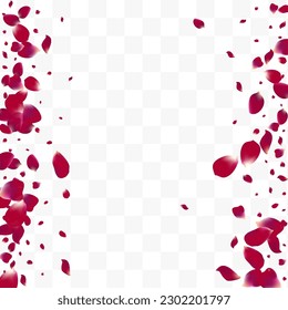 Fondo transparente del vector volante de la floración rosa. Marco de cereza de tira. Delicado telón de fondo del verano de Sakura. Hermosa Ilustración Petal Japón.