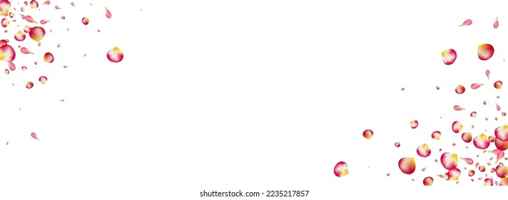 Pink Blossom Japanese Vector Panoramic White Background. Beauty Lotus Backdrop. Delicate Sakura Japan Texture. Red Petal Blur Template.