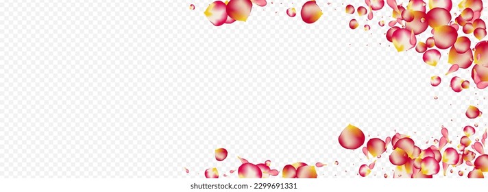 Pink Blossom Japanese Vector Panoramic Transparent Background. Blur Rose Wallpaper. Delicate Sakura Flying Poster. Beautiful Flower Fly Design.