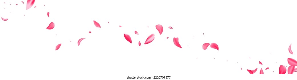 Pink Blossom Japanese Vector White Panoramic Background. Spring Cherry Backdrop. Beautiful Floral Fall Pattern. Delicate Flower Fly Poster.