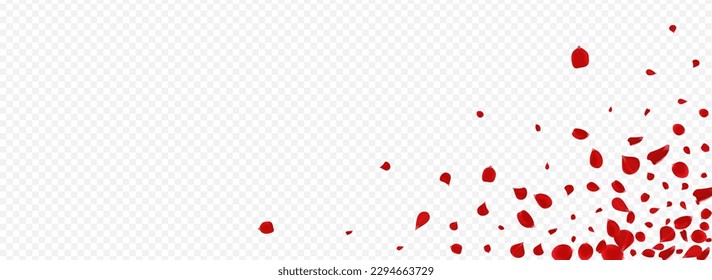 Pink Blossom Spring Vector Panoramic Transparent Background. Fall Lotus Poster. Red Rose Flying Texture. Delicate Cherry Japan Template.