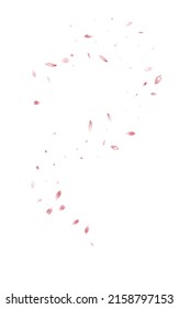 Pink Blossom Spring Vector White Background. Summer Petal Pattern. Delicate Floral Flying Texture. Red Rose Japan Banner.